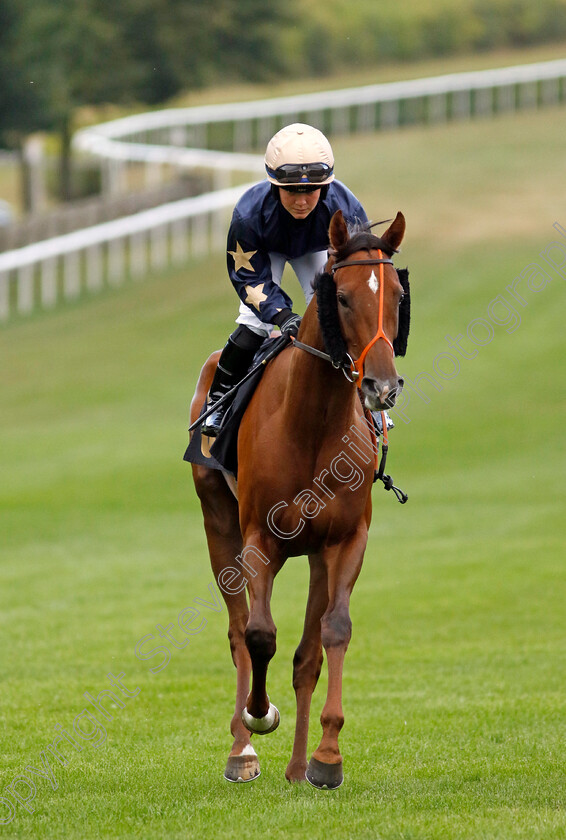 Aurora-Papillon 
 AURORA PAPILLON (Mollie Phillips) 
Newmarket 29 Jul 2022 - Pic Steven Cargill / Racingfotos.com