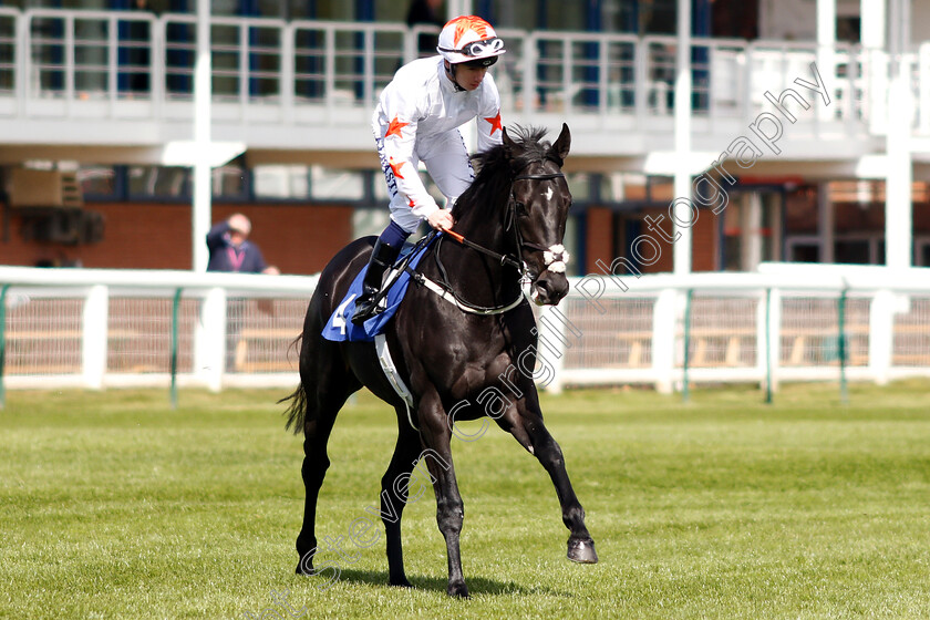 King-Ademar-0001 
 KING ADEMAR (Oisin Murphy) 
Nottingham 10 Apr 2019 - Pic Steven Cargill / Racingfotos.com