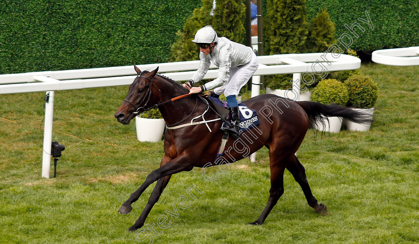 Dee-Ex-Bee-0008 
 DEE EX BEE (William Buick) wins The Longines Sagaro Stakes
Ascot 1 May 2019 - Pic Steven Cargill / Racingfotos.com