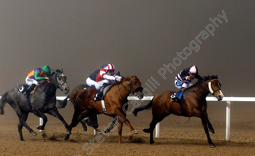 Miracle-Works-0003 
 MIRACLE WORKS (left, Tom Marquand) beats WARRIOR'S VALLEY (right) and JACK THE TRUTH (centre) in The Bet toteexacta At totesport.com Handicap
Chelmsford 22 Feb 2019 - Pic Steven Cargill / Racingfotos.com