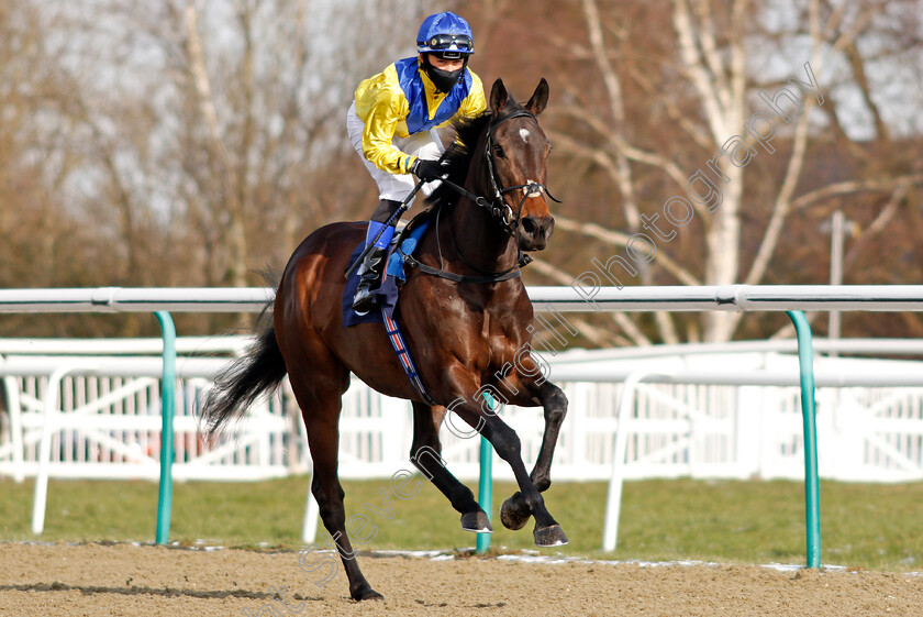 Moohareeba-0001 
 MOOHAREEBA (Benoit de la Sayette)
Lingfield 13 Feb 2021 - Pic Steven Cargill / Racingfotos.com