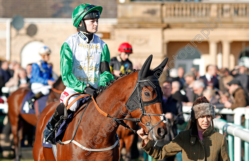 Hajjam-0001 
 HAJJAM (Shelley Birkett) Doncaster 11 Nov 2017 - Pic Steven Cargill / Racingfotos.com