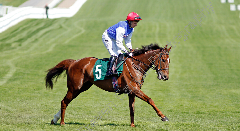 Chilli-Filli-0001 
 CHILLI FILLI (Andrew Tinkler) Cheltenham 19 Apr 2018 - Pic Steven Cargill / Racingfotos.com