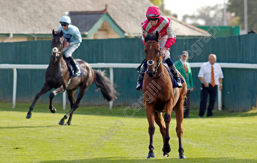 Enrolled-0001 
 ENROLLED (Daniel Muscutt)
Yarmouth 18 Sep 2024 - Pic Steven Cargill / Racingfotos.com