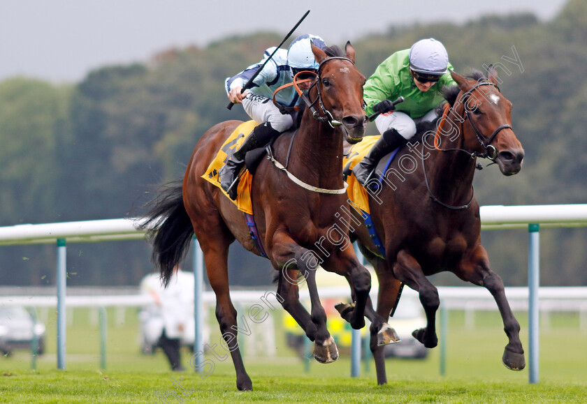 Epic-Poet-0003 
 EPIC POET (left, Daniel Tudhope) beats WAXING GIBBOUS (right) in The Betfair Old Borough Cup
Haydock 7 Sep 2024 - Pic Steven Cargill / Racingfotos.com