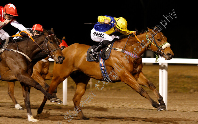 Cashel-0005 
 CASHEL (Tom Marquand) wins The Bet totescoop6 At totesport.com Handicap
Chelmsford 21 Feb 2019 - Pic Steven Cargill / Racingfotos.com