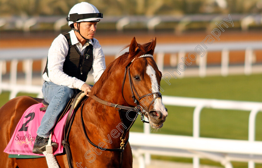 Elite-Power-0003 
 ELITE POWER training for the Riyadh Turf Sprint
King Abdulaziz Racecourse, Kingdom Of Saudi Arabia, 23 Feb 2023 - Pic Steven Cargill / Racingfotos.com