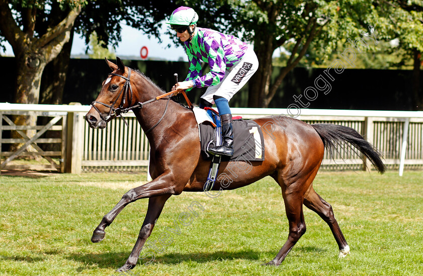 Chiqueador-0001 
 CHIQUEADOR (Daniel Muscutt)
Newmarket 7 Aug 2021 - Pic Steven Cargill / Racingfotos.com