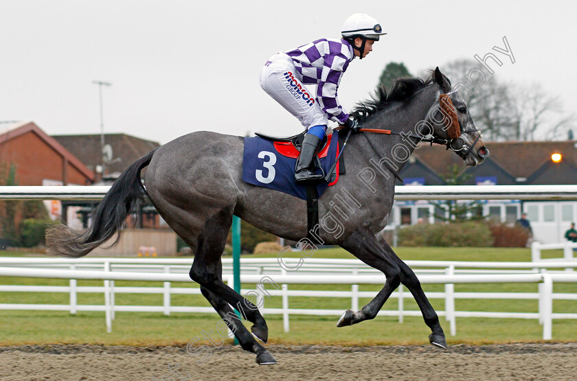 Volpone-Jelois-0001 
 VOLPONE JELOIS (Megan Nicholls) Lingfield 20 Dec 2017 - Pic Steven Cargill / Racingfotos.com