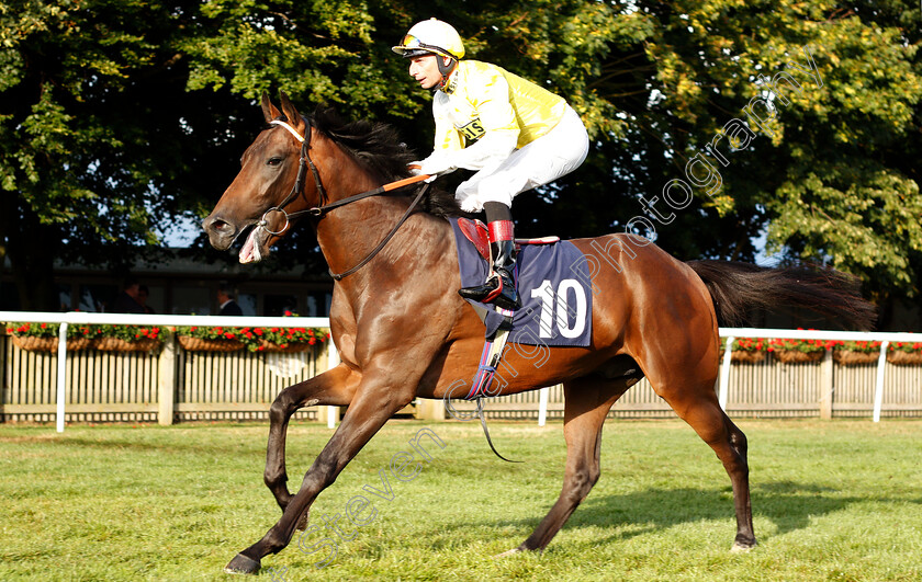 Red-Bravo-0001 
 RED BRAVO (Gerald Mosse) before winning The Fly London Southend Airport To Lyon Maiden Stakes
Newmarket 10 Aug 2018 - Pic Steven Cargill / Racingfotos.com