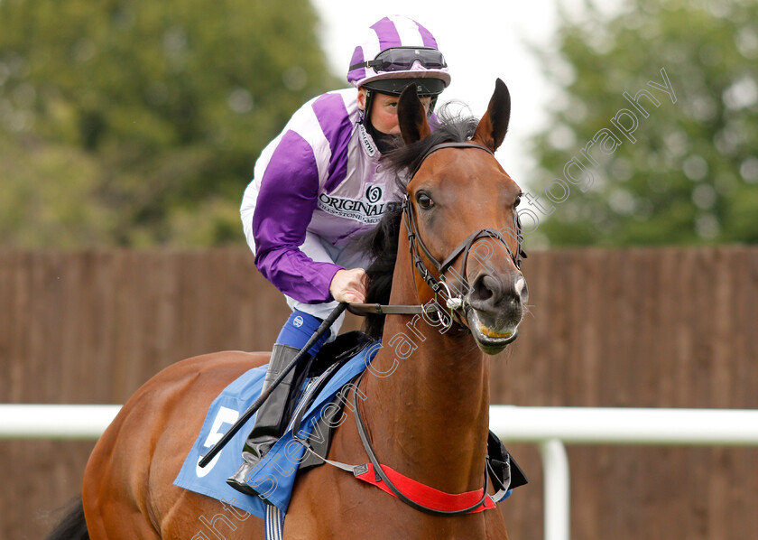 Dartington-0001 
 DARTINGTON (Martin Dwyer)
Leicester 15 Jul 2021 - Pic Steven Cargill / Racingfotos.com