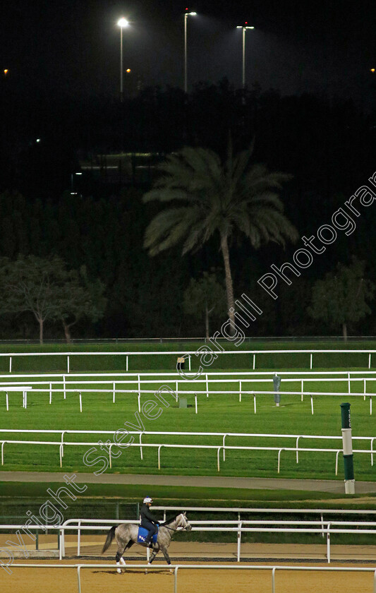 Saudi-Crown-0001 
 SAUDI CROWN out on track at 4am
Meydan, Dubai 1 Mar 2024 - Pic Steven Cargill / Racingfotos.com