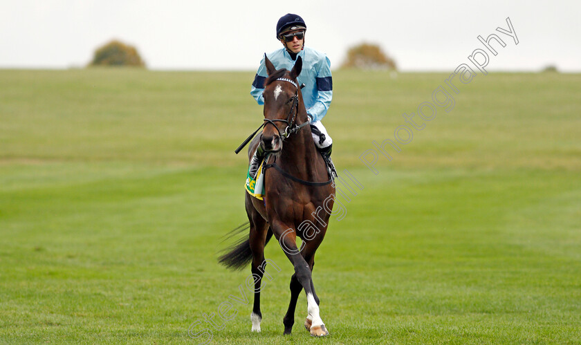 Cachet-0001 
 CACHET (James Doyle)
Newmarket 8 Oct 2021 - Pic Steven Cargill / Racingfotos.com