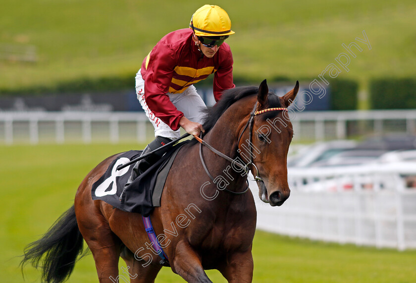 Victory-Sound-0001 
 VICTORY SOUND (Tom Marquand)
Goodwood 9 Jun 2024 - Pic Steven Cargill / Racingfotos.com