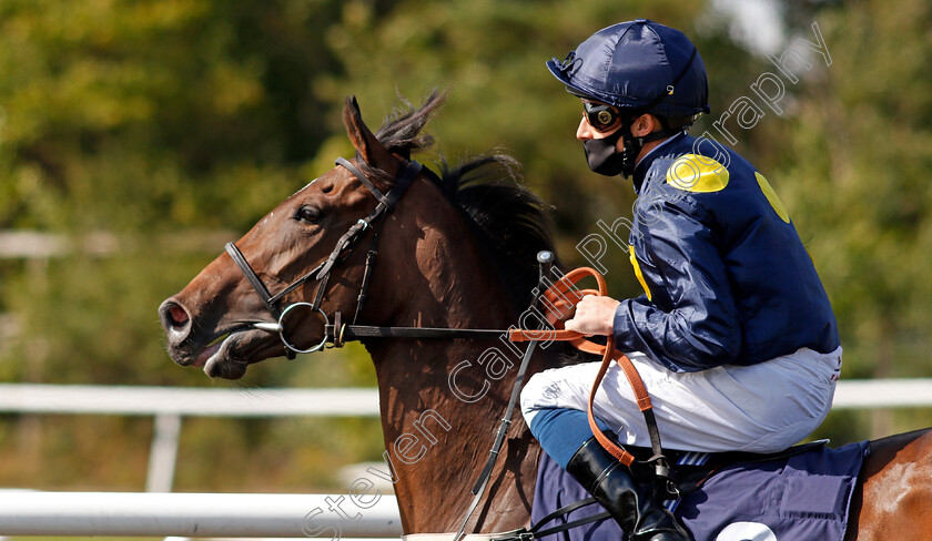 Desert-Vision-0001 
 DESERT VISION (William Buick) 
Lingfield 4 Aug 2020 - Pic Steven Cargill / Racingfotos.com