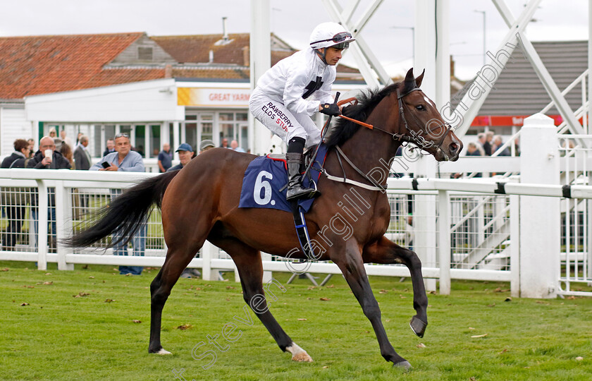 Lovelifenlaughter-0001 
 LOVELIFENLAUGHTER (Silvestre de Sousa)
Yarmouth 22 Oct 2024 - Pic Steven Cargill / Racingfotos.com