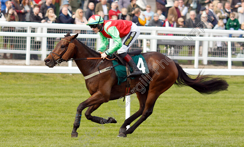 Le-Patriote-0005 
 LE PATRIOTE (Sam Twiston-Davies) wins The Kingston Stud Handicap Hurdle
Cheltenham 17 Apr 2019 - Pic Steven Cargill / Racingfotos.com