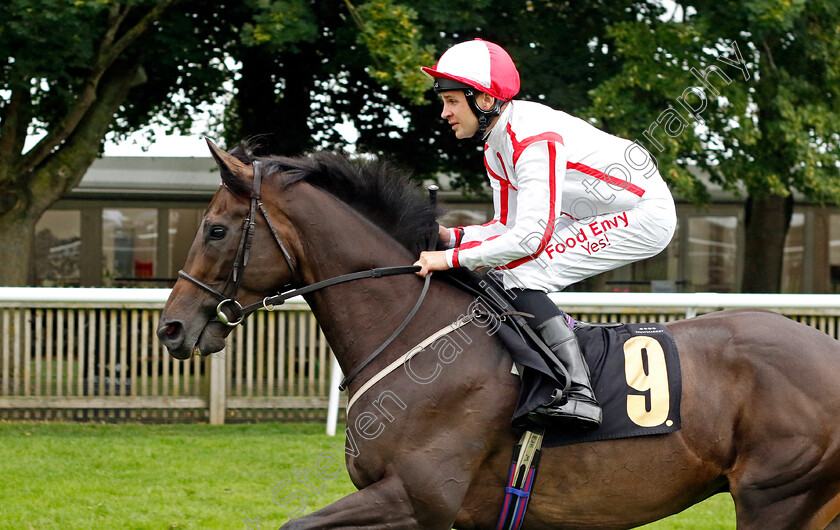 Boy-Browning-0002 
 BOY BROWNING (Charles Bishop)
Newmarket 5 Aug 2023 - Pic Steven Cargill / Racingfotos.com