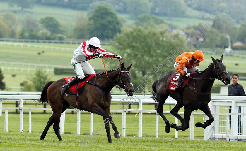 Latenightpass-0003 
 LATENIGHTPASS (left, Gina Andrews) beats CAPTAIN MCGINLEY (right) in The Connolly's Red Mills Intermediate Point-to-Point Championship Final Hunters Chase
Cheltenham 3 May 2019 - Pic Steven Cargill / Racingfotos.com