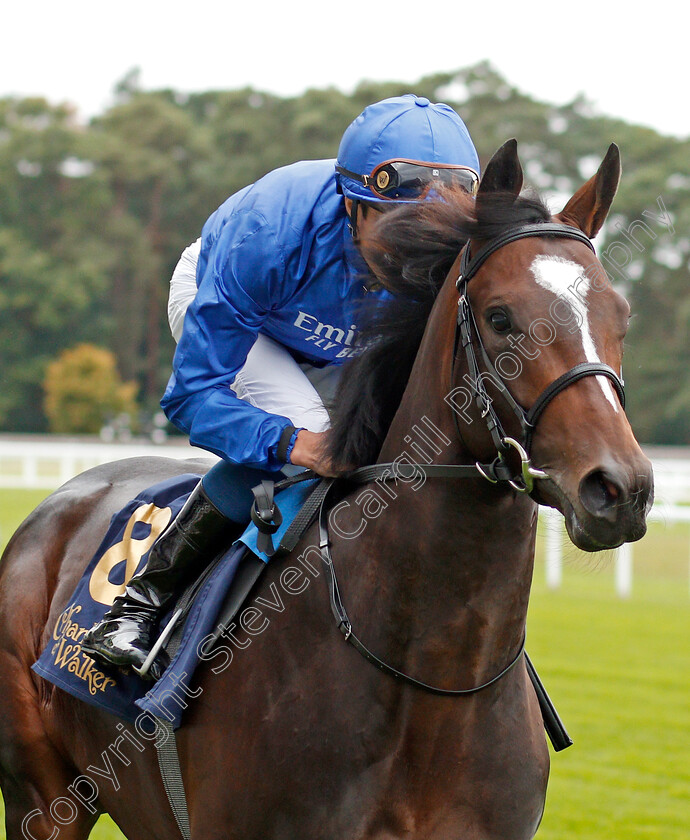 Law-Of-Peace-0001 
 LAW OF PEACE (William Buick)
Ascot 6 Sep 2019 - Pic Steven Cargill / Racingfotos.com