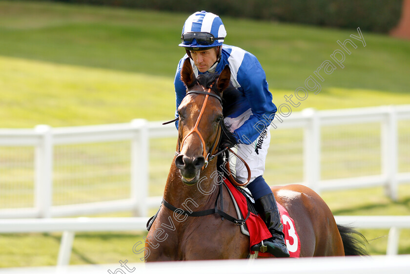 Elsaabiqaat-0001 
 ELSAABIQAAT (Jim Crowley) before winning The Read Silvestre De Sousa At 188bet Nursery
Sandown 31 Aug 2018 - Pic Steven Cargill / Racingfotos.com