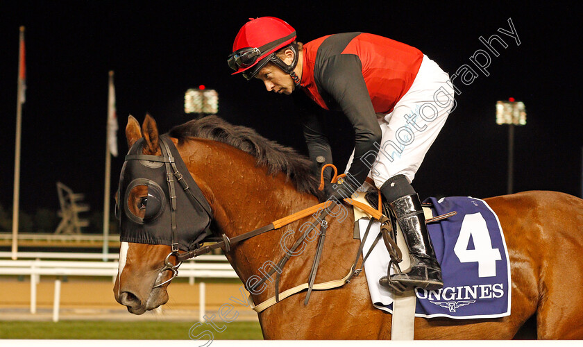 Nine-Below-Zero-0001 
 NINE BELOW ZERO (Tadhg O'Shea)
Meydan 9 Jan 2020 - Pic Steven Cargill / Racingfotos.com