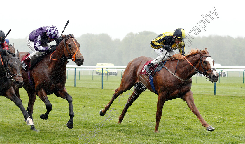 Pour-Me-A-Drink-0005 
 POUR ME A DRINK (P J McDonald) beats OUZO (left) in The Betway Handicap
Haydock 27 Apr 2019 - Pic Steven Cargill / Racingfotos.com