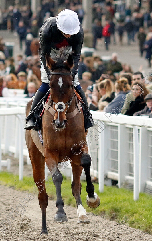 Hymac-0002 
 HYMAC (Bryan Carver)
Cheltenham 17 Nov 2024 - Pic Steven Cargill / Racingfotos.com