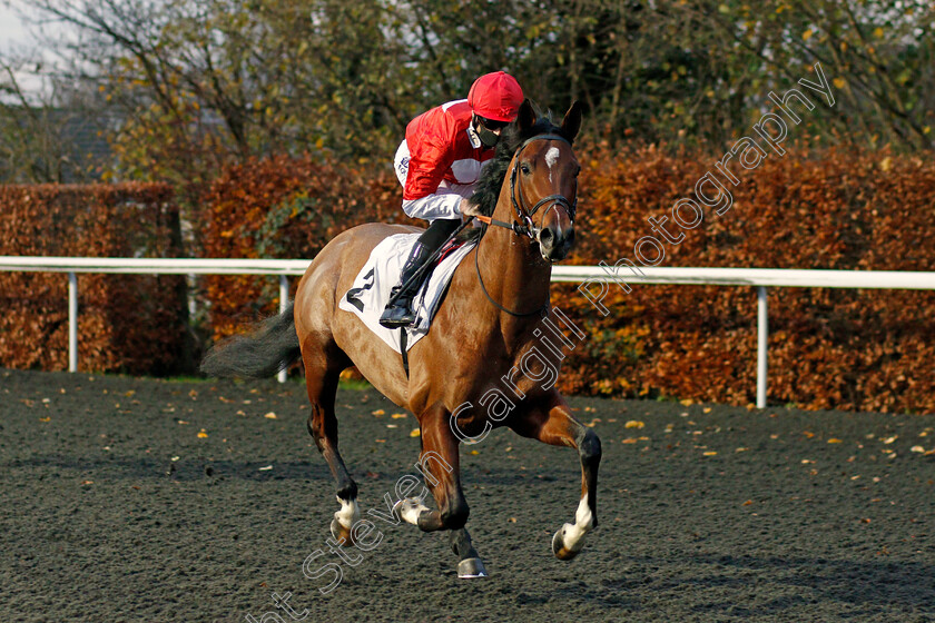 Cash-Machine-0001 
 CASH MACHINE (Jack Mitchell)
Kempton 25 Nov 2020 - Pic Steven Cargill / Racingfotos.com