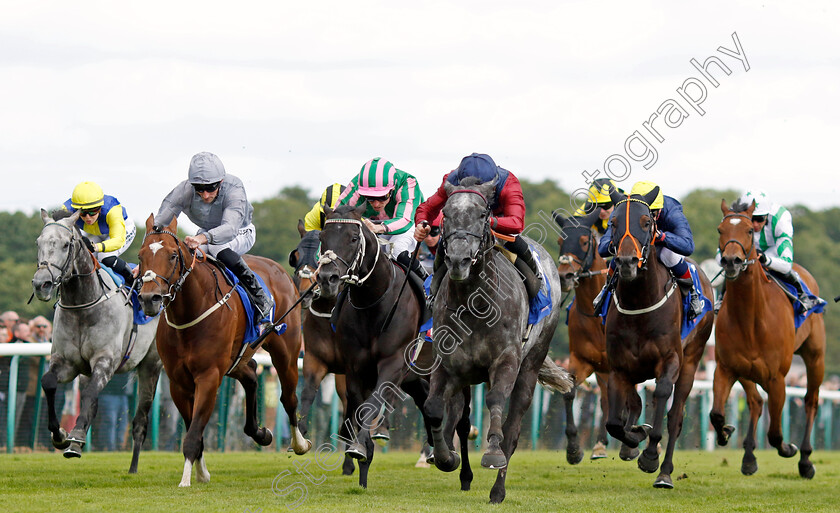 Tiber-Flow-0003 
 TIBER FLOW (Tom Marquand) wins The Betfred John Of Gaunt Stakes
Haydock 8 Jun 2024 - Pic Steven Cargill / Racingfotos.com