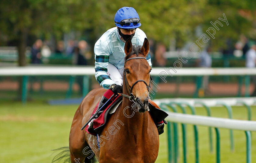 Quickthorn-0002 
 QUICKTHORN (Oisin Murphy) winner of The Heed Your Hunch At Betway Handicap
Haydock 29 May 2021 - Pic Steven Cargill / Racingfotos.com