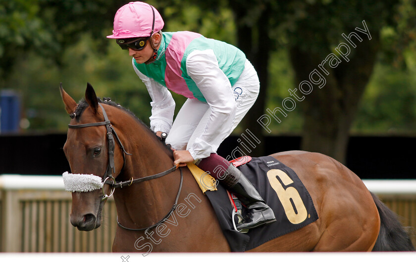 Upscale-0001 
 UPSCALE (Rob Hornby)
Newmarket 1 Jul 2023 - Pic Steven Cargill / Racingfotos.com