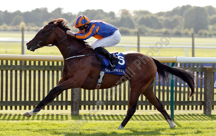 Just-Wonderful-0006 
 JUST WONDERFUL (Ryan Moore) wins The Shadwell Rockfel Stakes
Newmarket 28 Sep 2018 - Pic Steven Cargill / Racingfotos.com