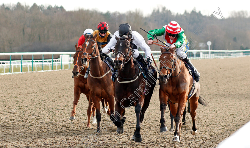 Crackling-0002 
 CRACKLING (centre, Ryan Moore) beats APEX KING (right) in The Bombardier British Hopped Amber Beer Handicap
Lingfield 13 Feb 2021 - Pic Steven Cargill / Racingfotos.com