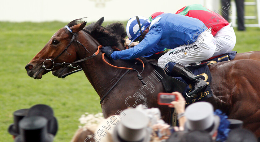 Afaak-0009 
 AFAAK (Jim Crowley) wins The Royal Hunt Cup
Royal Ascot 19 Jun 2019 - Pic Steven Cargill / Racingfotos.com