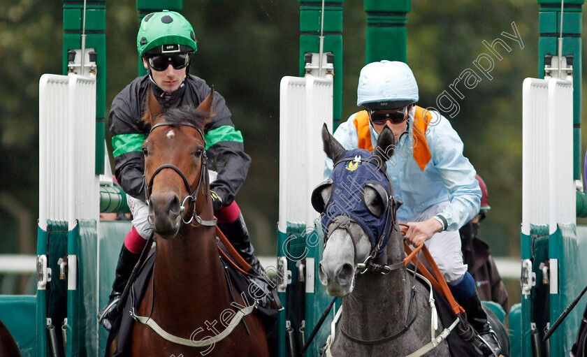 Fairmac-and-Legendary-Day-0002 
 Oisin Murphy (left, Legendary Day) with William Buick (right, Fairmac) at the start of the Kier Construction Handicap
Nottingham 13 Oct 2021 - Pic Steven Cargill / Racingfotos.com