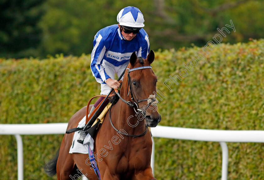 The-Lost-King-0002 
 THE LOST KING (Rob Hornby)
Kempton 7 Aug 2024 - Pic Steven Cargill / Racingfotos.com