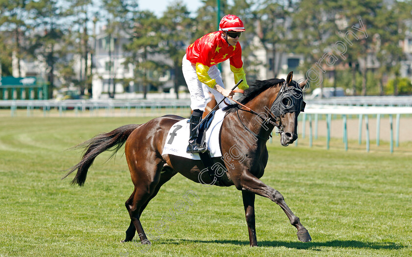 Artorius-0001 
 ARTORIUS (Jamie Spencer)
Deauville 7 Aug 2022 - Pic Steven Cargill / Racingfotos.com