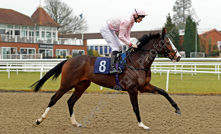 Sophie-Gray-0001 
 SOPHIE GRAY (Robert Havlin) Lingfield 20 Dec 2017 - Pic Steven Cargill / Racingfotos.com