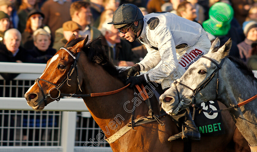 Elgin-0010 
 ELGIN (Wayne Hutchinson) wins The Unibet Greatwood Handicap Hurdle Cheltenham 19 Nov 2017 - Pic Steven Cargill / Racingfotos.com