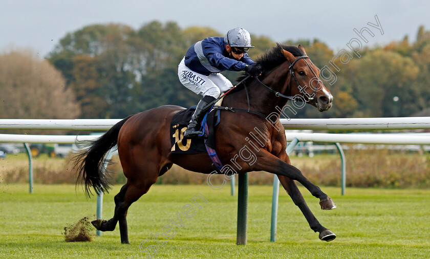 Set-Point-0004 
 SET POINT (Ben Curtis) wins The EBF Maiden Stakes
Nottingham 14 Oct 2020 - Pic Steven Cargill / Racingfotos.com