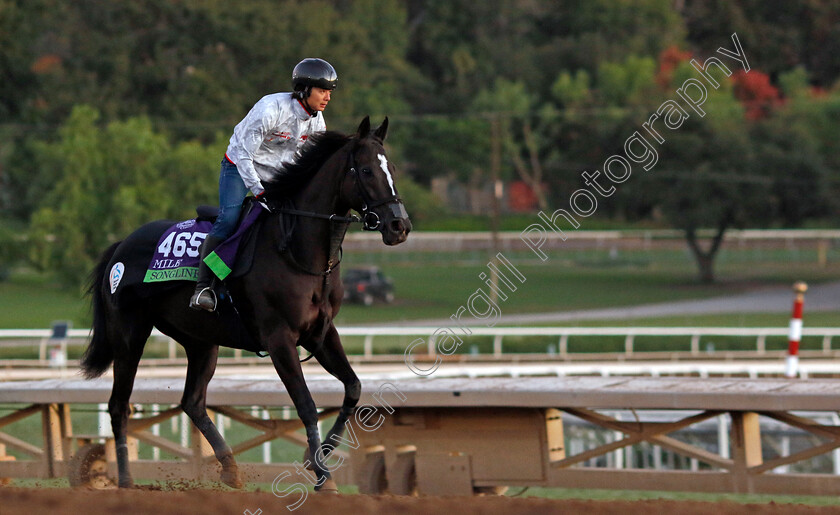 Songline-0003 
 SONGLINE training for The Breeders' Cup Mile
Santa Anita USA, 30 Oct 2023 - Pic Steven Cargill / Racingfotos.com