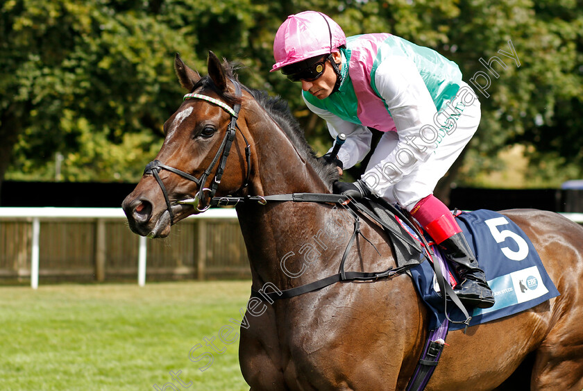 Elegant-Verse-0002 
 ELEGANT VERSE (Frankie Dettori)
Newmarket 30th July 2022 - Pic Steven Cargill / Racingfotos.com