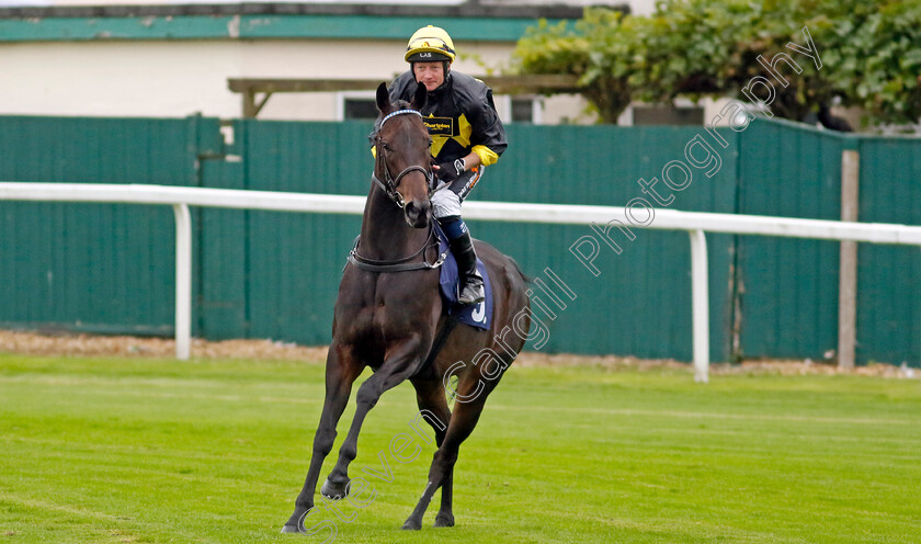 Alcazan-0009 
 ALCAZAN (William Carson) winner of The Moulton Nurseries Fillies Handicap
Yarmouth 19 Sep 2023 - Pic Steven Cargill / Racingfotos.com