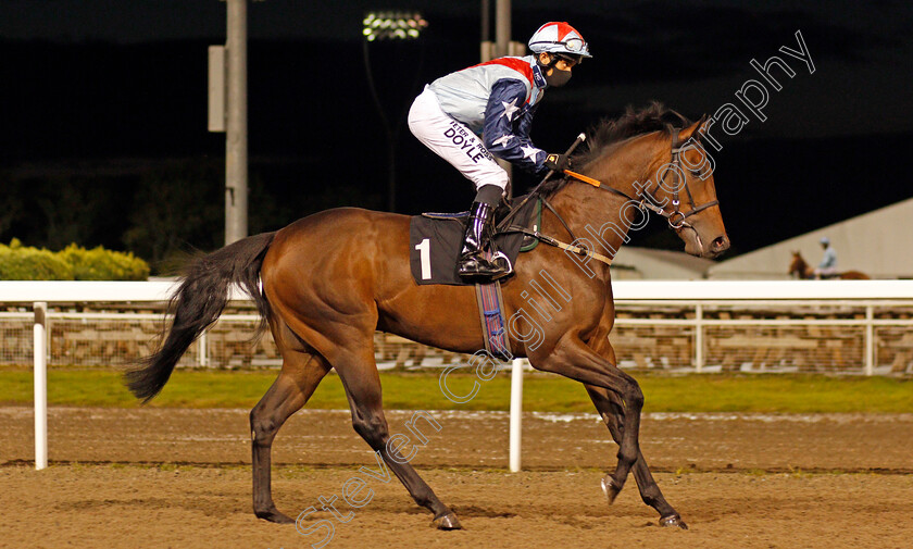 Hear-At-Last-0001 
 HEAR AT LAST (Sean Levey)
Chelmsford 15 Oct 2020 - Pic Steven Cargill / Racingfotos.com