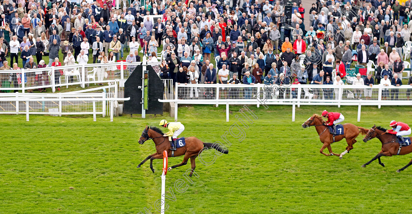 Tajanis-0002 
 TAJANIS (Cieren Fallon) wins The Moulton Nurseries Handicap
Yarmouth 21 Sep 2023 - Pic Steven Cargill / Racingfotos.com