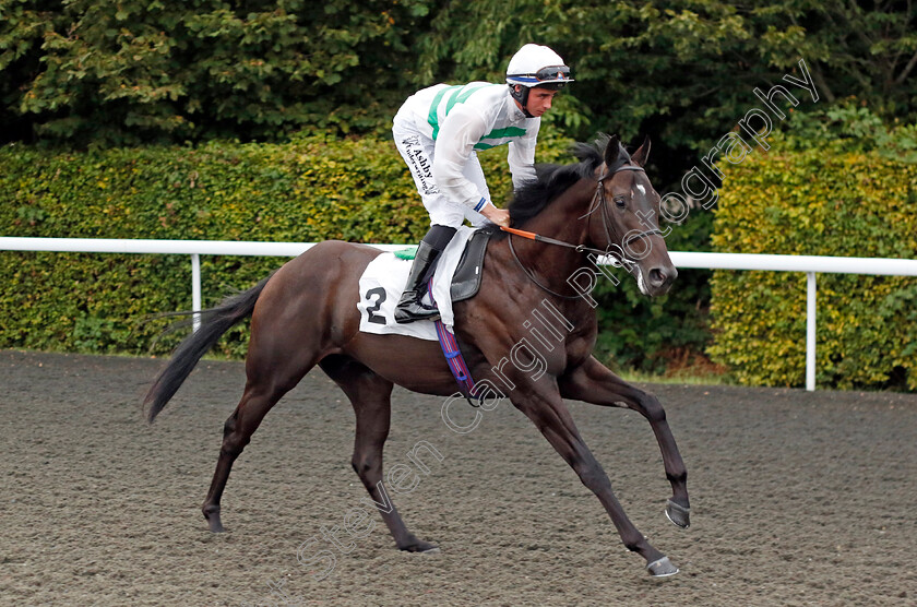 Allegorical-0001 
 ALLEGORICAL (Rossa Ryan)
Kempton 8 Sep 2023 - Pic Steven Cargill / Racingfotos.com