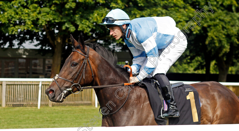 Meribella-0001 
 MERIBELLA (Richard Kingscote)
Newmarket 29 Jun 2024 - Pic Steven Cargill / Racingfotos.com