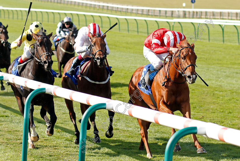 Daahyeh-0003 
 DAAHYEH (William Buick) wins The Shadwell Rockfel Stakes
Newmarket 27 Sep 2019 - Pic Steven Cargill / Racingfotos.com