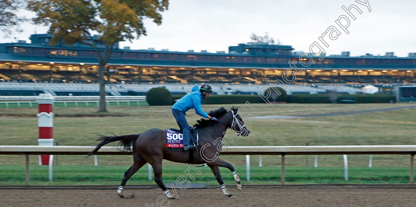 Aloha-West-0001 
 ALOHA WEST training for the Breeders' Cup Sprint
Keeneland, USA 31 Oct 2022 - Pic Steven Cargill / Racingfotos.com